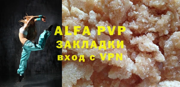 СК Белокуриха