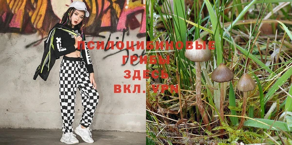 марихуана Белоозёрский