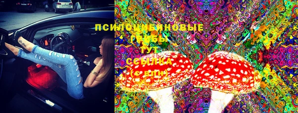 СК Белокуриха